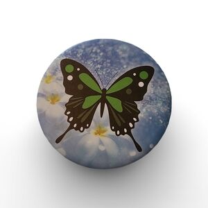 Blue Makeup Mirror with Green Butterfly Design